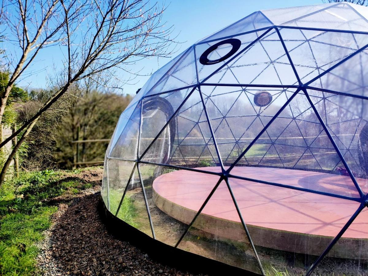 La Tisserande : Maison D'Hotes Creative & Ecologique Saint-Thégonnec Dış mekan fotoğraf